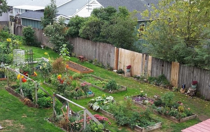 Free garden plot is our private Community Garden!